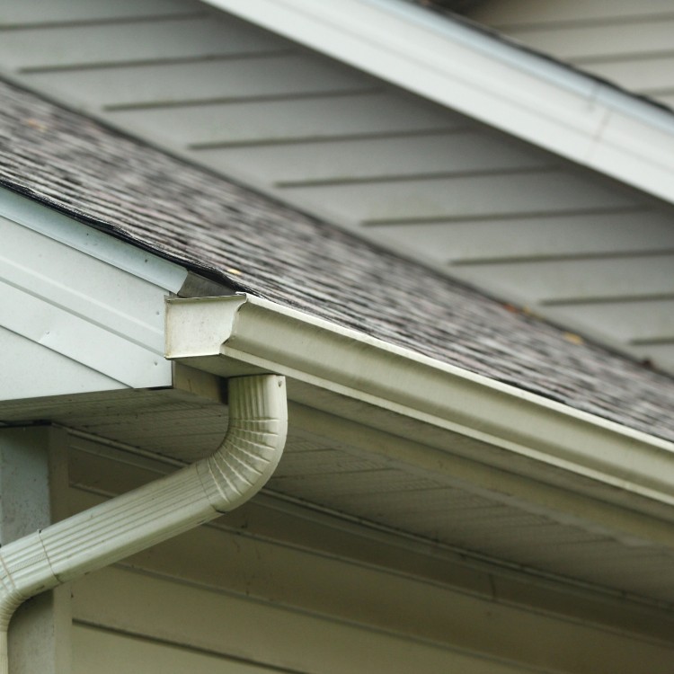 Just another WordPress site